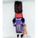 Witch's guard doll ( 14.5 inches )