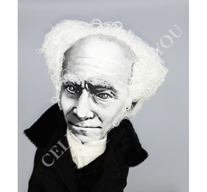 Arthur Schopenhauer German philosopher - Introvert gift - Collectible doll hand painted