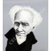 Arthur Schopenhauer German philosopher - Introvert gift - Collectible doll hand painted