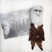 Charles Darwin English naturalist, geologist and biologist, atheist - Theory of evolution - Textile doll hand embroidered and painted face