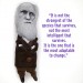 Charles Darwin English naturalist, geologist and biologist, atheist - Theory of evolution - Textile doll hand embroidered and painted face