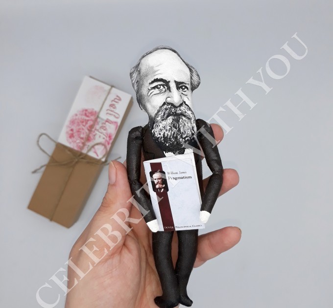 William James philosopher psychologist Father of American psychology - pragmatism - Physical therapist gift - hand painted doll + book