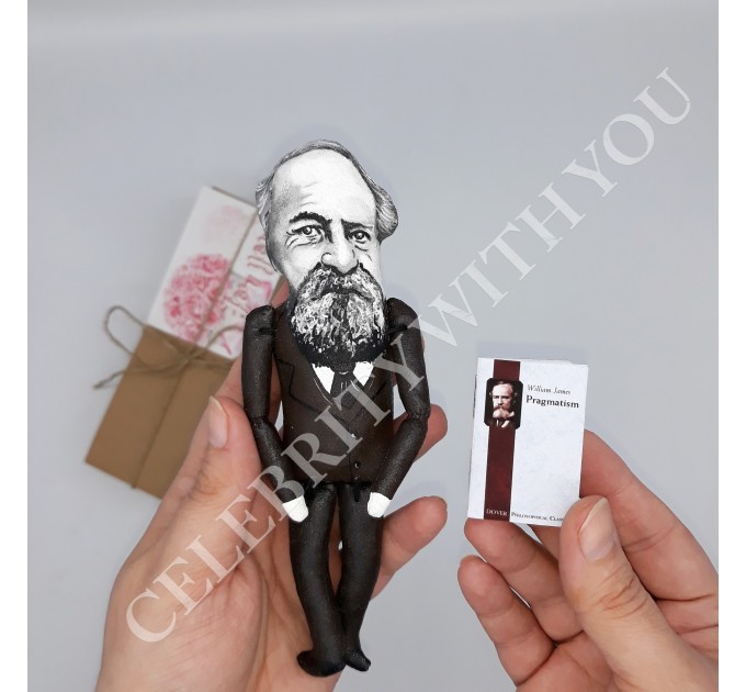 William James philosopher psychologist Father of American psychology - pragmatism - Physical therapist gift - hand painted doll + book